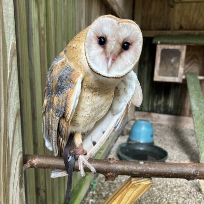 Image for choice number 7