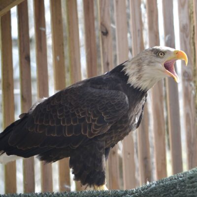 Image for choice number 15