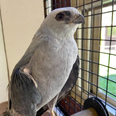 Image for choice number 23