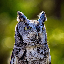 Image for choice number 2