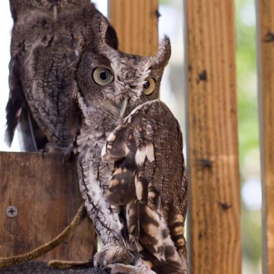 Image for choice number 4