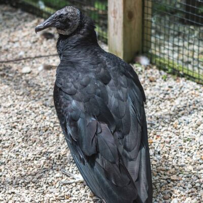 Image for choice number 22