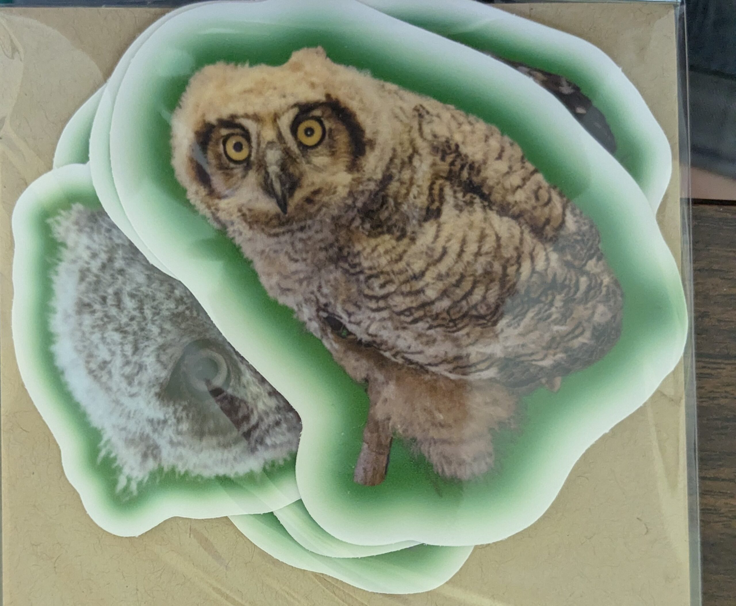 RC Baby Owl Sticker Pack