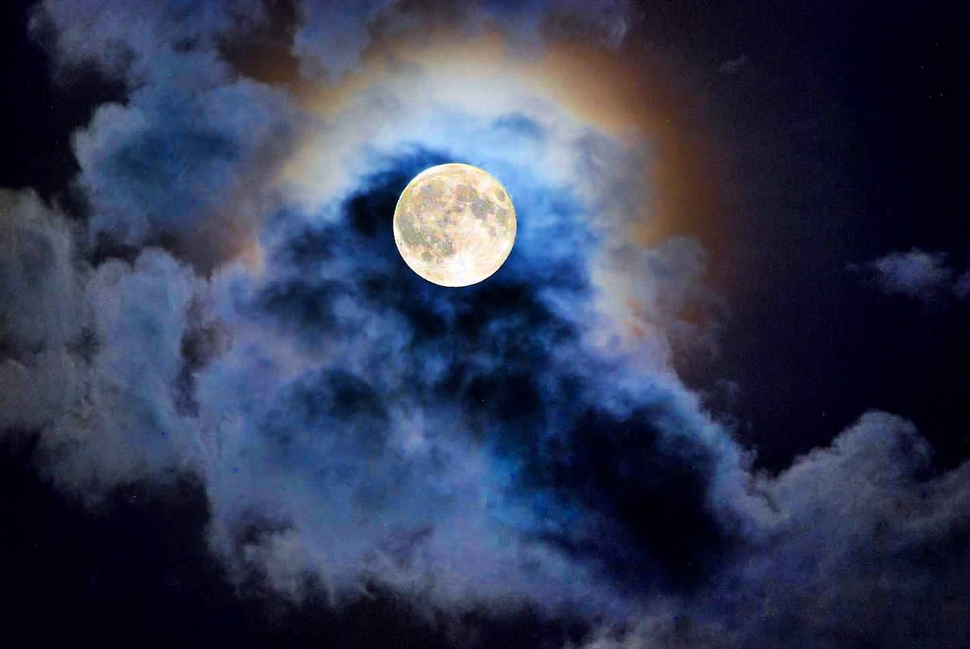 Full Worm Moon Hike and Seed Exchange